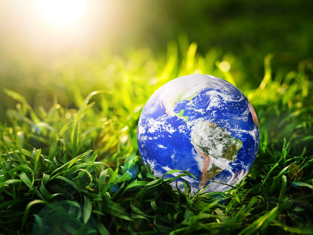 ¿Qué es el SEIA y cuándo un proyecto debe ingresar al SEIA en Chile?